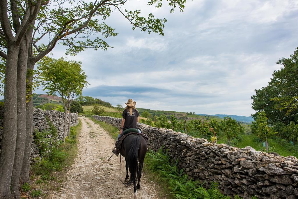 Casa Costa Relais B&B Monteforte dʼAlpone Kültér fotó