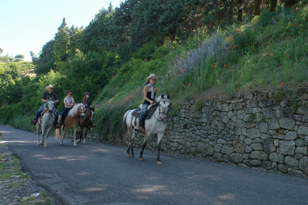 Casa Costa Relais B&B Monteforte dʼAlpone Kültér fotó
