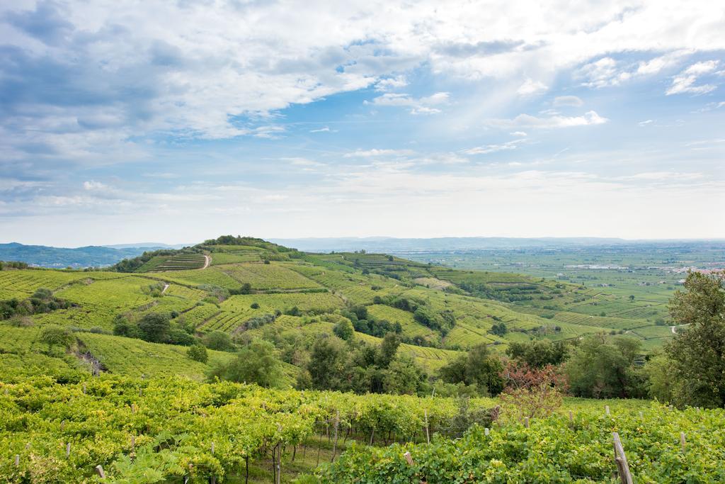Casa Costa Relais B&B Monteforte dʼAlpone Kültér fotó